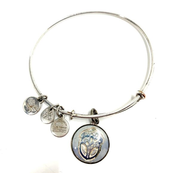 Alex and Ani Unexpected Miracles Charm Bracelet Silver Finish - Expands 2" - Picture 1 of 3